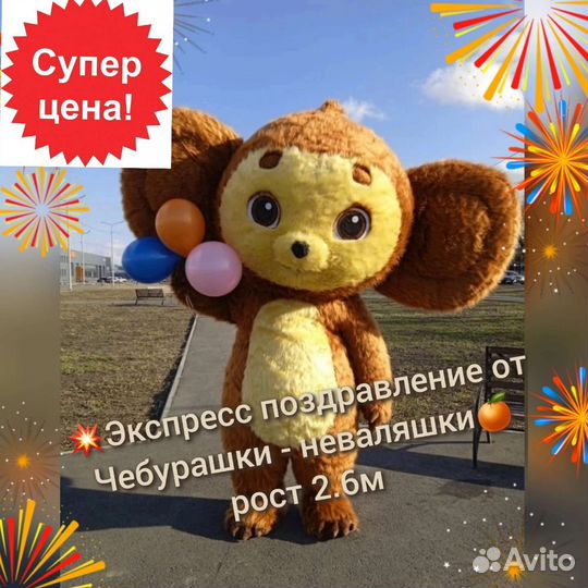 Поздравление в Кургане