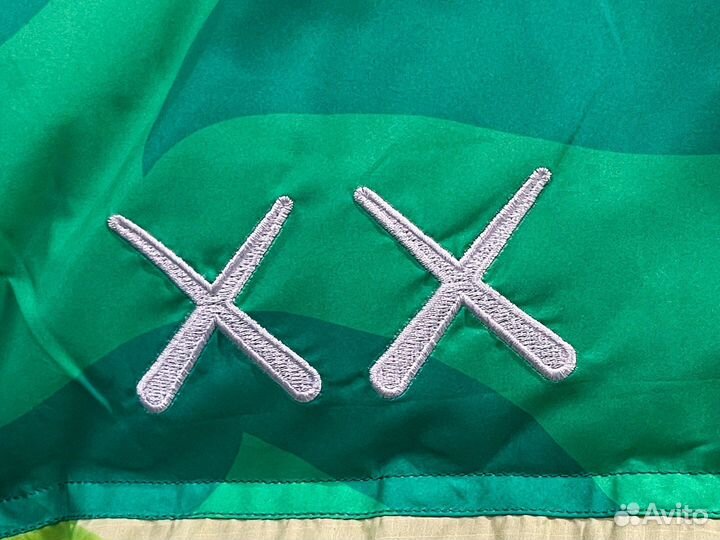 Пуховик The North Face 1996 kaws Green Print