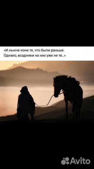 Обучение лошадей