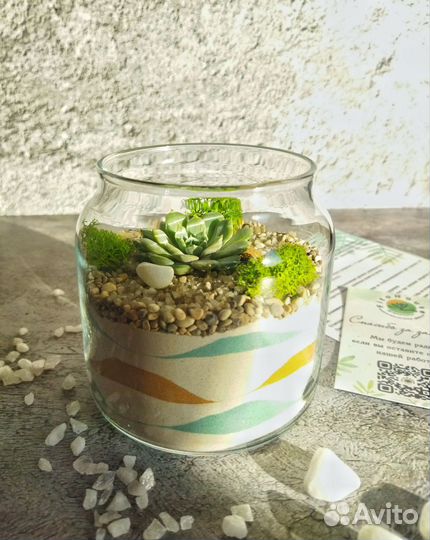 Флорариум баночка с эхеверией