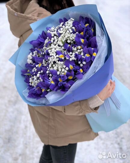 Ирисы. Цветы с Доставкой/Ирис/Букеты