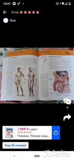 Энциклопедия для детей Эксмо