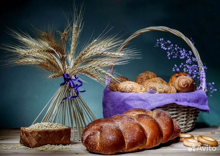 Грузчик на хлебзавод. Оплата сразу. Любой график