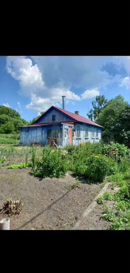 Дом 53 м² на участке 40 сот.