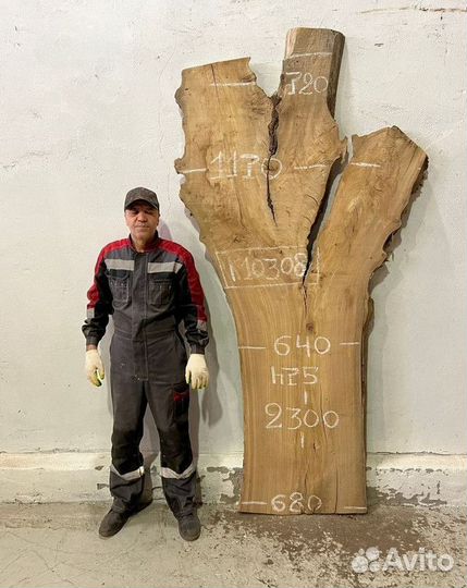 Слэб карагач от призводителя