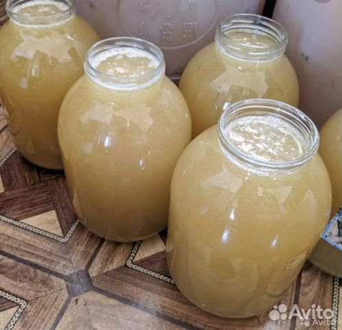 Как выглядит липовый мед фото