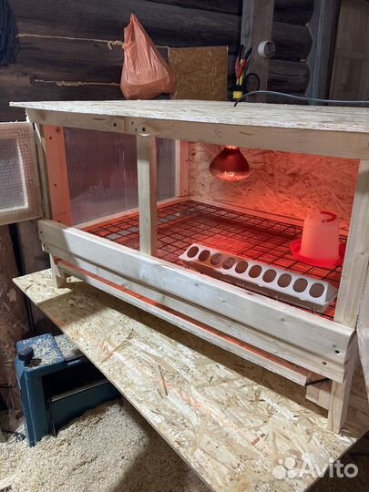 Брудер для цыплят