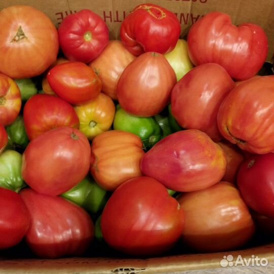 Помидоры домашние