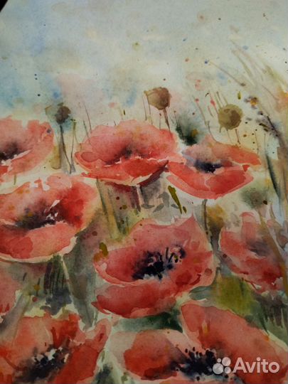Акварель цветы маки