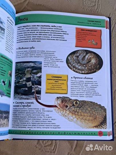 Детская энциклопедия