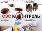 Дезинфекция вытравим тараканов, клопов,крыс мышей