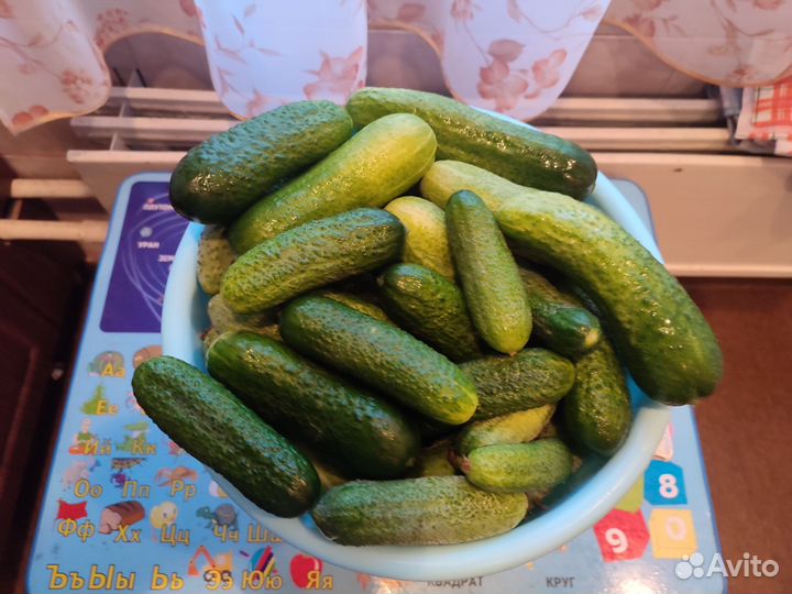 Огурцы свежие, горох стручковый зеленый