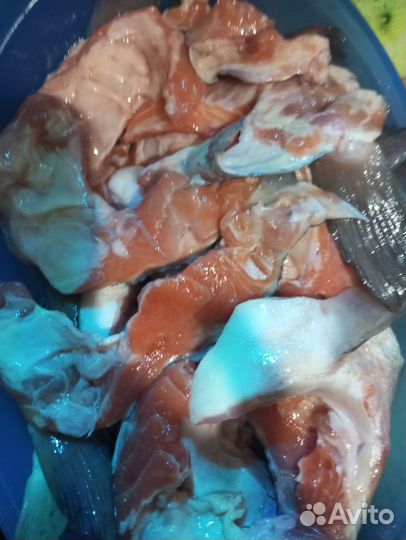 Наборы Сёмги и Форели для ухи,запекания и засолки