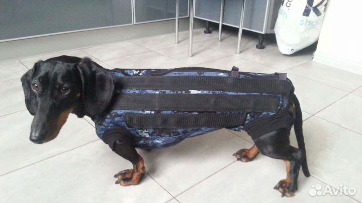 Лечебный шейный корсет для собак любой породы