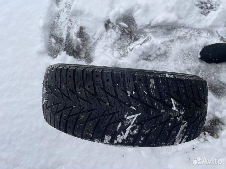 Zmax Winterhawke I 225/55 R16