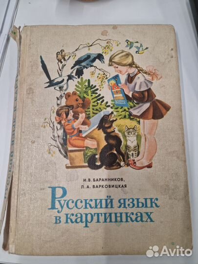 Русский язык в картинках Баранников ч1
