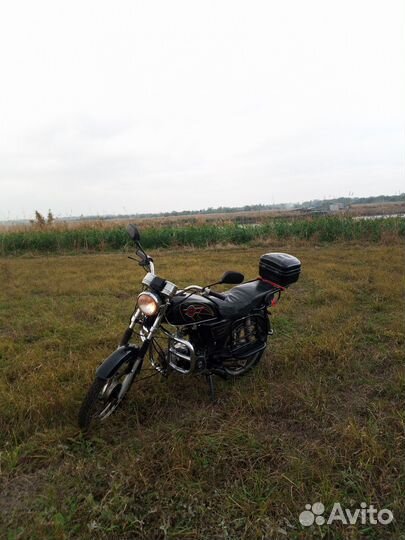 Альфа сабур