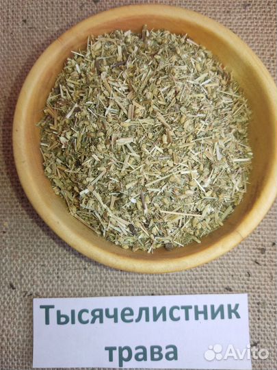 Тысячелистник