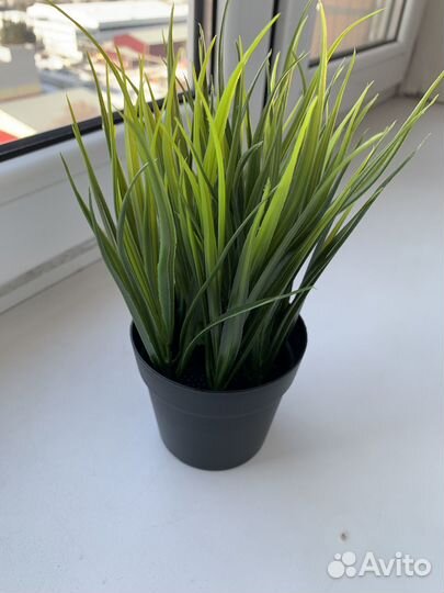 Искусственное растение IKEA