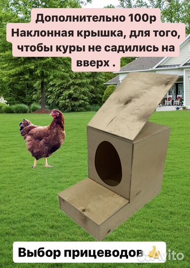 Гнездо для кур с яйцесборником
