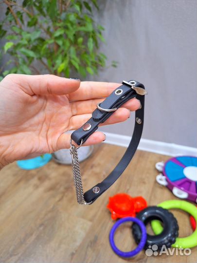 Ошейники, дождевик, игрушки, поводки