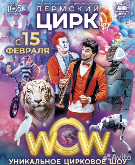 Билеты в цирк Пермь