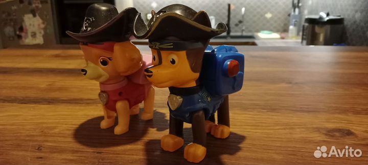 Щенячий патруль в пиратских шляпах