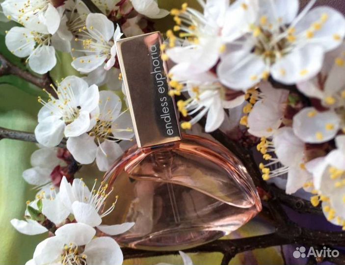 Endless Euphoria Kalvin Klein эйфория оригинал