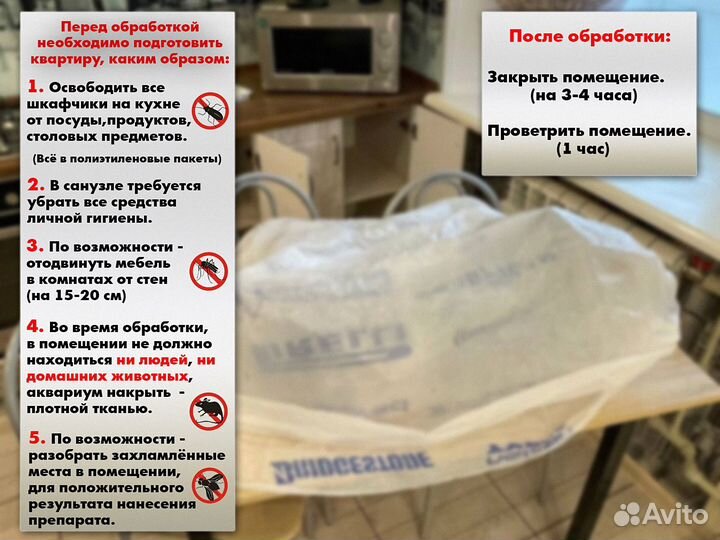 Уничтожение насекомых клопов тараканов