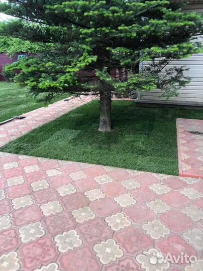 Рулонный газон от производителя