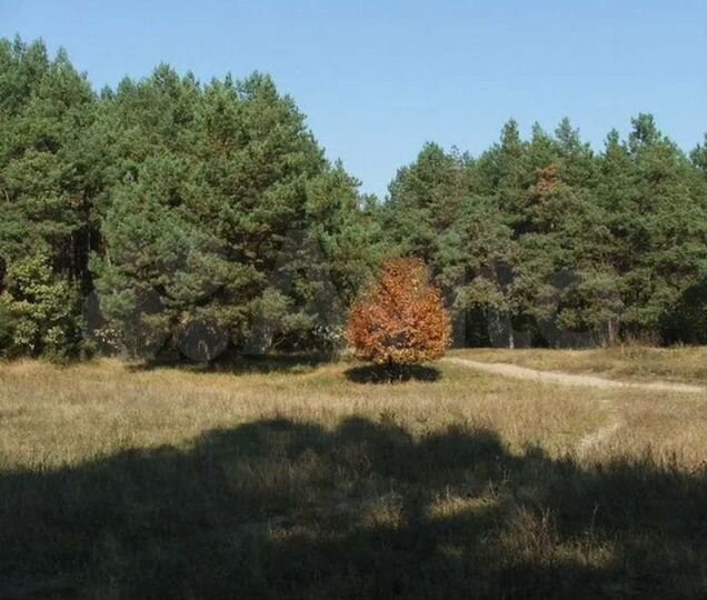 Участок 4 га (ИЖС)