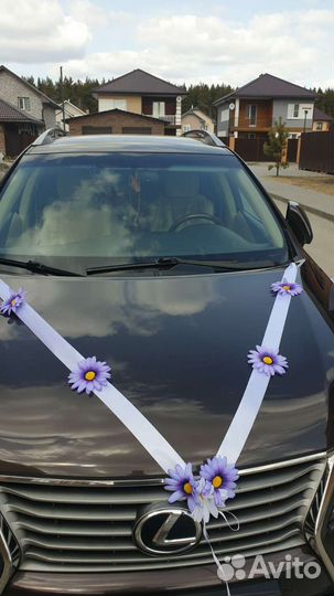 Свадебная Лента свадебная на капот