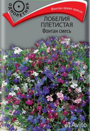 Лобелия