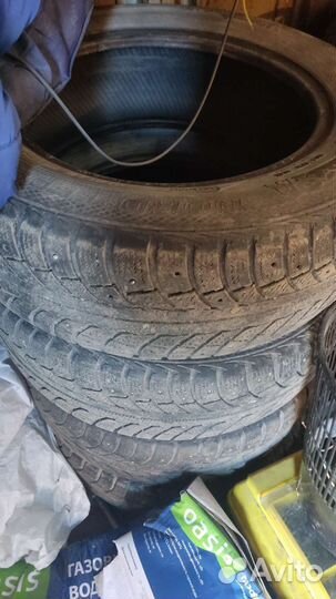 Gislaved Nord Frost 5 195/65 R15