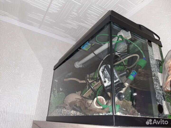 Аквариум