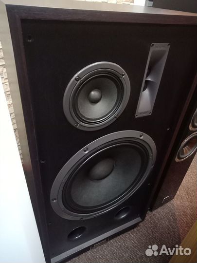 Акустика, последние витринные пары