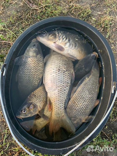 Рыбалка и отдых