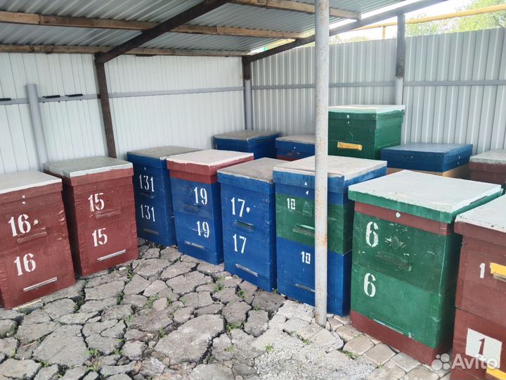 Улей для пчел