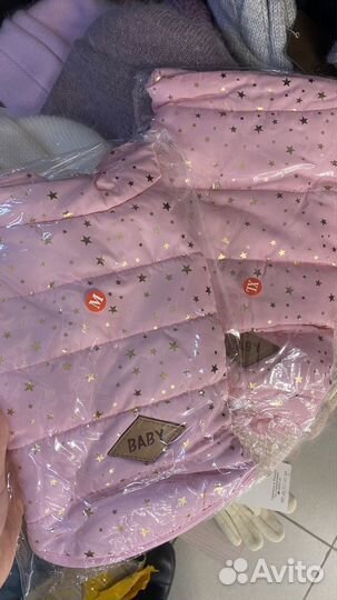 Одежда для собак