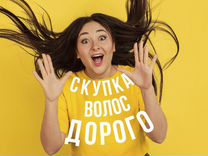 Скупка волос продать волосы купим волосы Москва