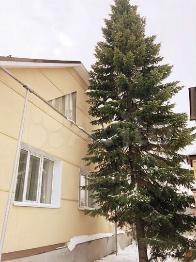 Коттедж 177 м² на участке 8,9 сот.