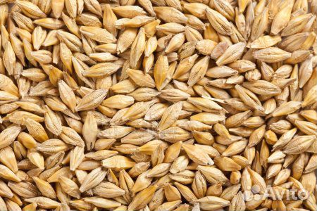 Пшеница, Ячмень, овес, горох, кукуруза, геркулес