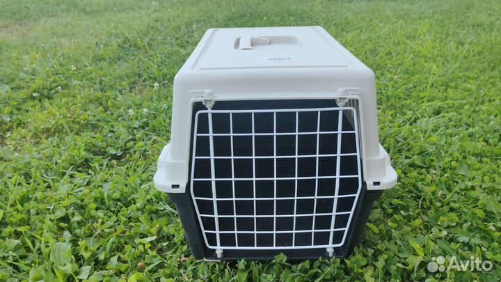 Аренда переноски для кошек и мелких собак