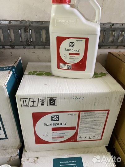 Балерина гербицид
