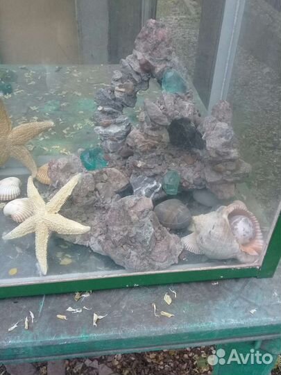 Аквариум-террариум со всем, что на фото