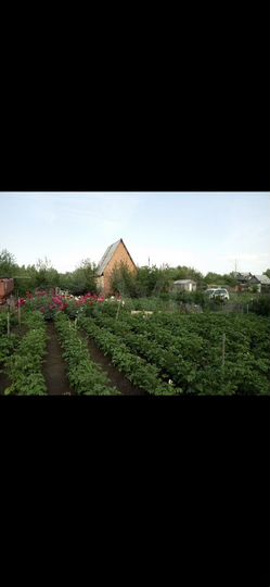 Участок 6 сот. (СНТ, ДНП)