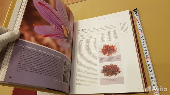 Специи. Большая кулинарная книга