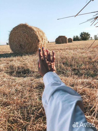 Сено в рулонах