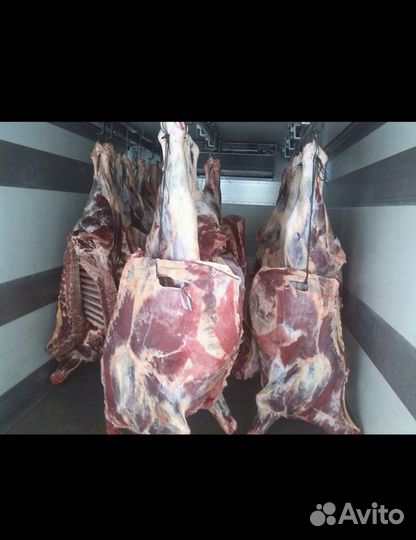 Мясо говядина