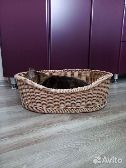 Лежанка для собаки или кошки